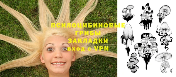 мескалин Осинники