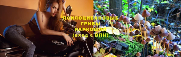 мескалин Осинники